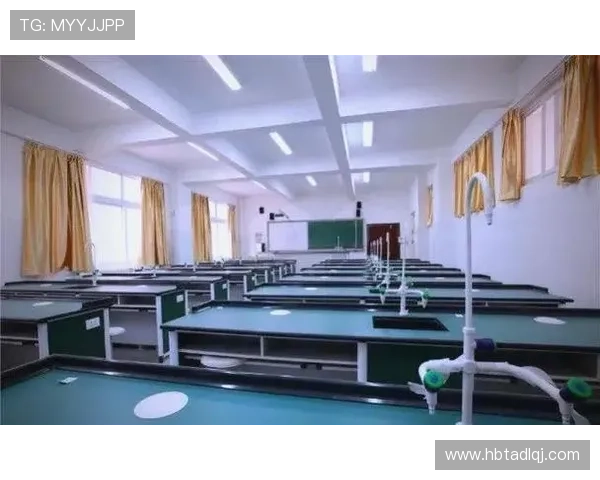 武汉排球队战术解析与排球比赛策略的深度探讨